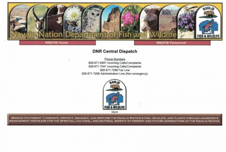 Grazing Information Lukachukai